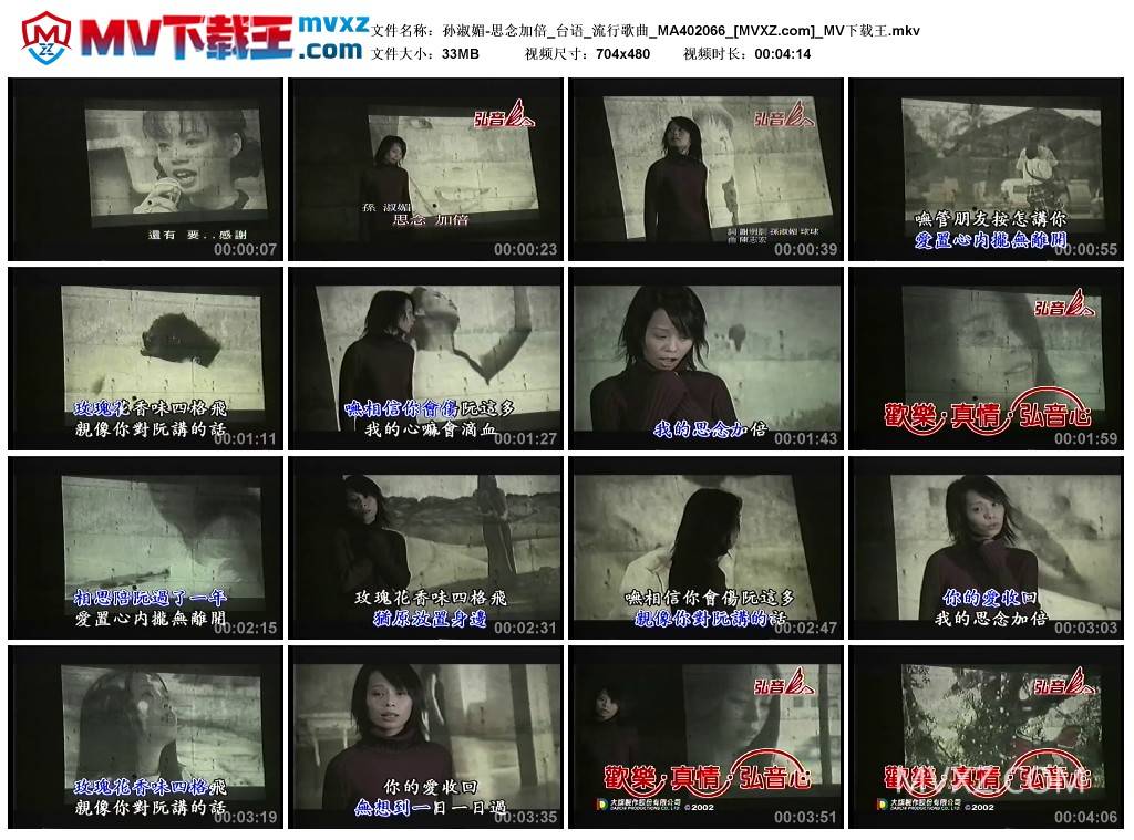 孙淑媚-思念加倍_台语_流行歌曲_MA402066